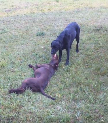 太阳成tyc7111cc官网