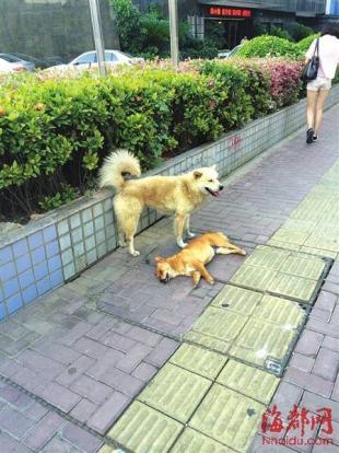 太阳成tyc7111cc官网