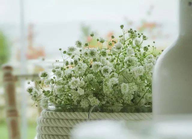 太阳成tyc7111cc官网