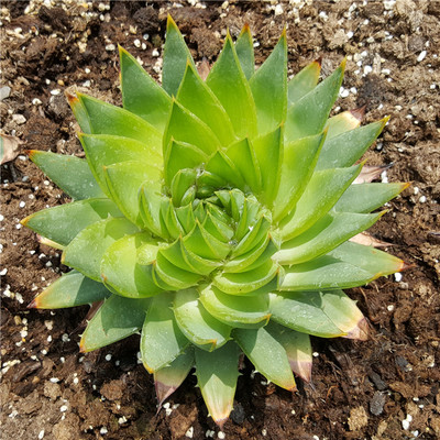 太阳成tyc7111cc官网