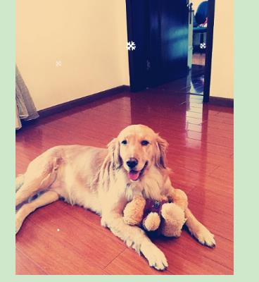 tyc7111cc太阳成集团:了解防水连接器的基本结构方可选到优质产品(图1) tyc7111cc太阳成集团