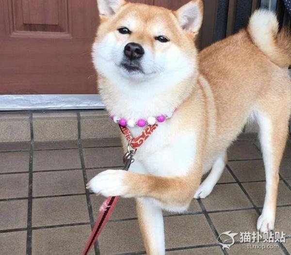 tyc7111cc太阳成集团