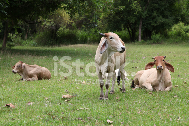 tyc7111cc太阳成集团