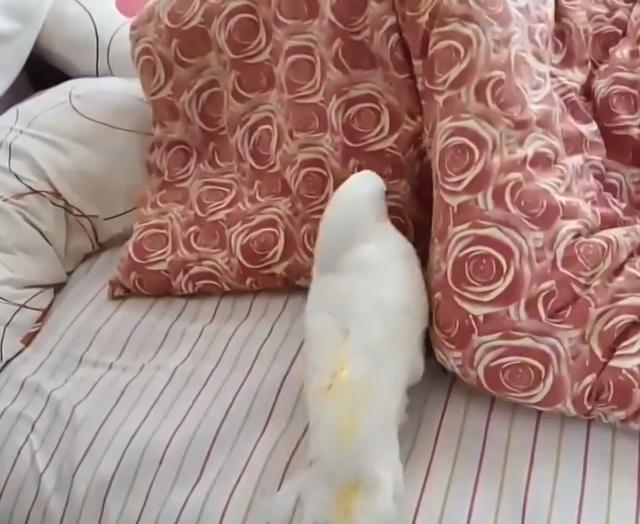 tyc7111cc太阳成集团|专家解读8月工业利润数据:未来将保持震荡修复态势(图3) tyc7111cc太阳成集团