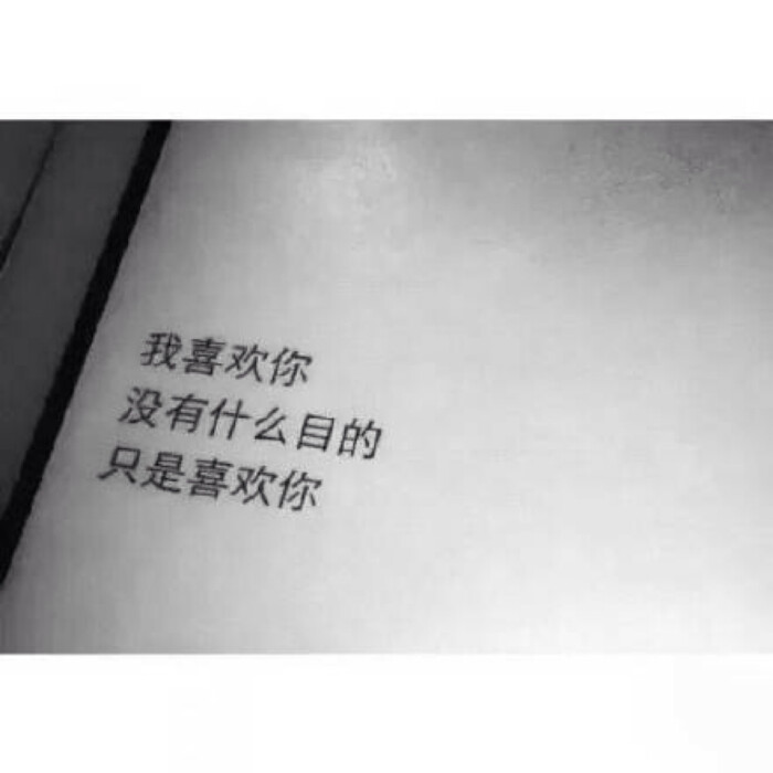 邵阳市2019年中等职业教育国家奖学金举行市级评审|太阳成tyc7111cc(图4) tyc7111cc太阳成集团