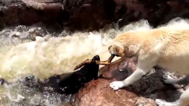 太阳成tyc7111cc官网