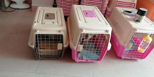 太阳成tyc7111cc官网-全国职业院校实习管理50强案例报告之四十 武汉职业技术学院(图1) 太阳成tyc7111cc