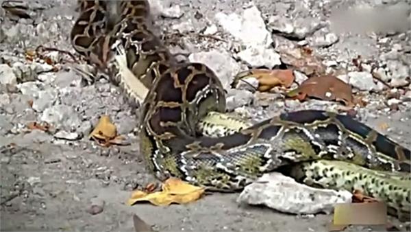 tyc7111cc太阳成集团