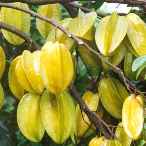 太阳成tyc7111cc官网