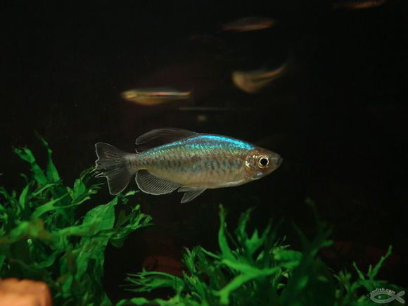 步履维艰的“煤电联营”这次能否落地?【太阳成tyc7111cc官网】(图2) 太阳成tyc7111cc官网