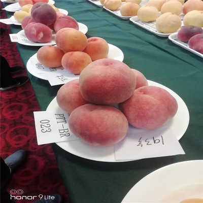 太阳成tyc7111cc官网