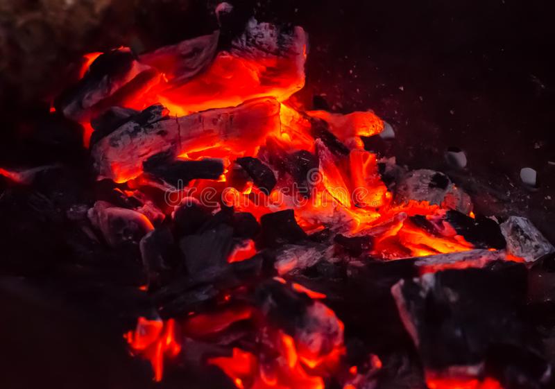 太阳成tyc7111cc官网