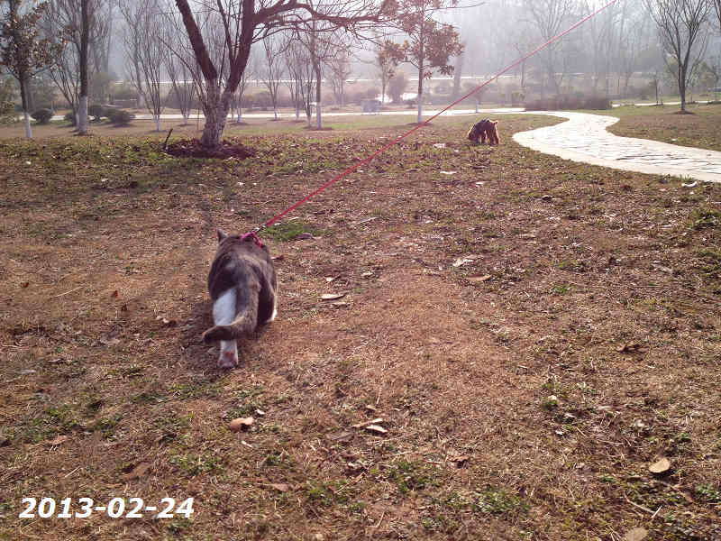 tyc7111cc太阳成集团