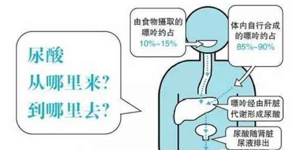 tyc7111cc太阳成集团